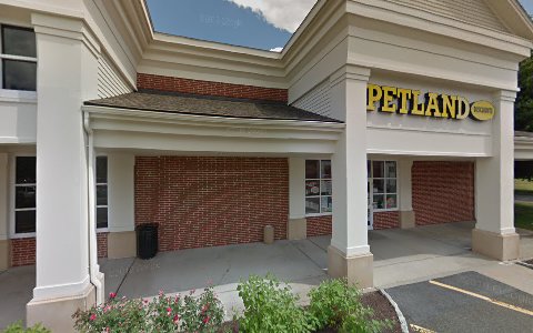 Pet Store «Petland Discounts - Southbury», reviews and photos, 775 Main St S, Southbury, CT 06488, USA