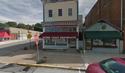 Laurel Valley Chiropractic - Pet Food Store in Saltsburg Pennsylvania