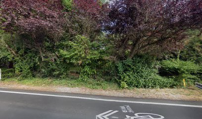 Bellageds Mobile Grooming