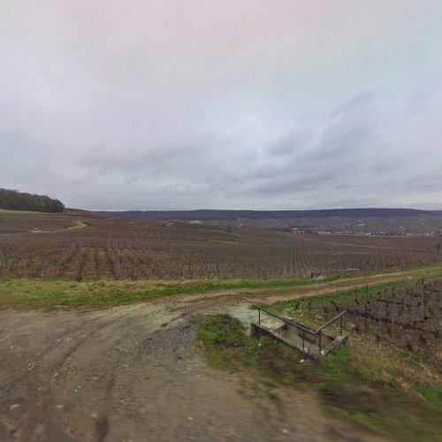 Domaine les Vignes du Clos à Brugny-Vaudancourt