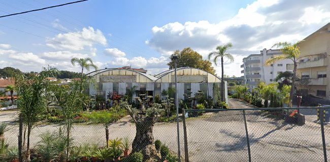 Avaliações doCedro Verde - Construção E Tratamento De Jardins, Lda. em Vila Nova de Famalicão - Floricultura