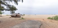Photo de Batticaloa beach zone sauvage