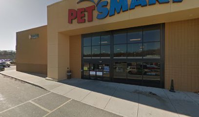 PetSmart Grooming
