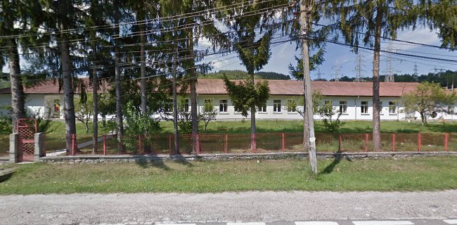 Scoala gimnazială George Ştephănescu Căpăţâneni - Școală