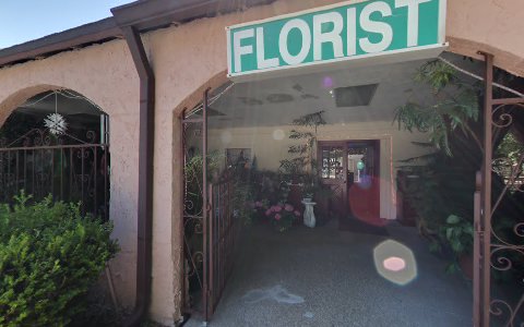 Florist «Precious Memories Florist», reviews and photos, 1500 N Parsons Ave, Brandon, FL 33510, USA