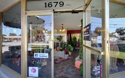 Florist «Hassell Florist», reviews and photos, 1679 Drew St, Clearwater, FL 33755, USA