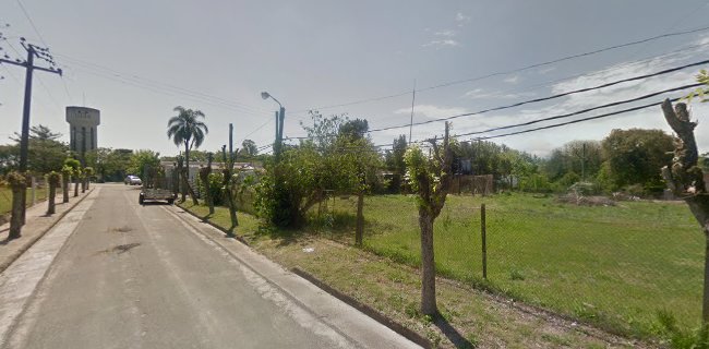 Vivero Cardal - Arboles Nativos - Centro de jardinería