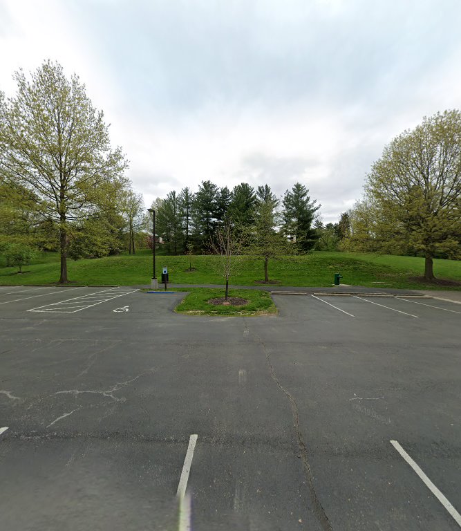 Dulle Park Basketball Court