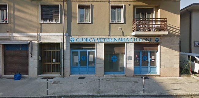 Recensioni di Ambulatorio Veterinario - Dr.ssa Tea Meloni a Gardone Val Trompia - Veterinario