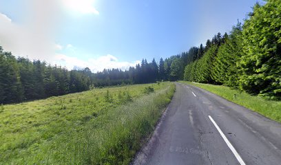 Straße durchs Kronholz