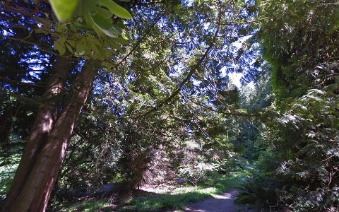 Botanical Garden «Washington Park Arboretum - UW Botanic Gardens», reviews and photos, 2300 Arboretum Dr E, Seattle, WA 98112, USA
