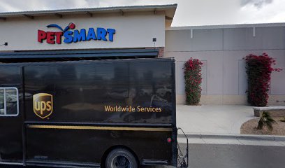 PetSmart Dog Training