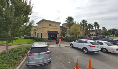 Community Therapy Associates, LLC - Chiropractor in Orlando Florida
