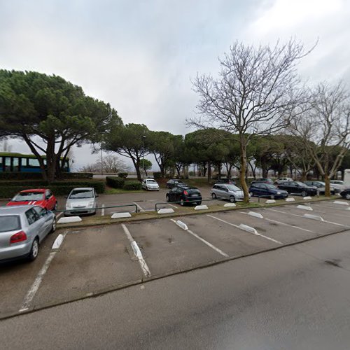 Centre de formation continue Association Régionale Languedoc-Roussillon C.E.M.E.A Mauguio