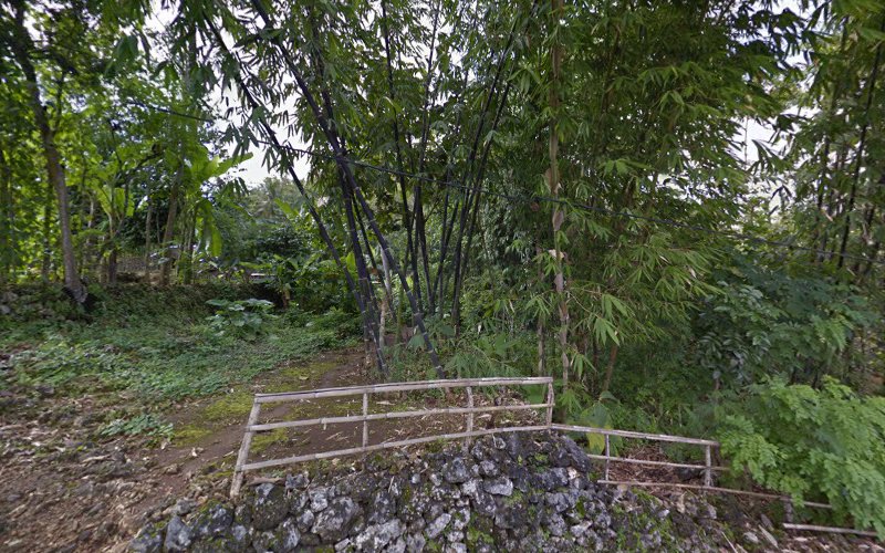 Menikmati Keindahan Taman Margasatwa di Kabupaten Gunung Kidul: Tempat Menakjubkan yang Harus Dikunjungi