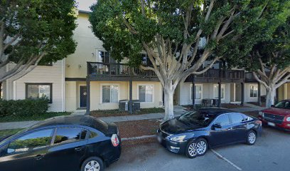 Moochies Dog Grooming