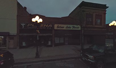 Plesha Chiropractic - Pet Food Store in Virginia Minnesota