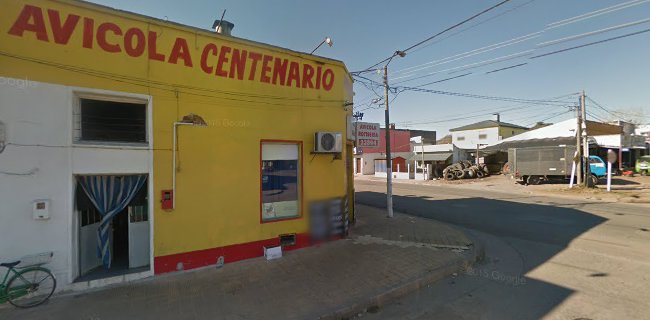 Opiniones de Avicola Centenario en Lavalleja - Tienda
