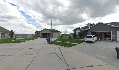 Critter Sitters of Lincoln