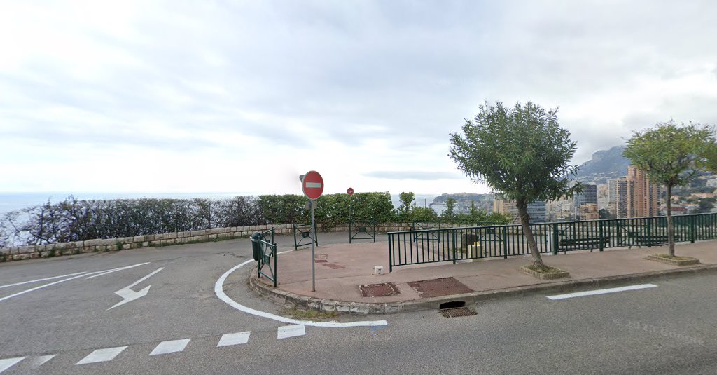 Le Palmier à Roquebrune-Cap-Martin