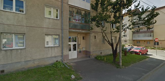 Opinii despre Cabinet Psihologie Mihai Silvia-Georgiana în <nil> - Psiholog