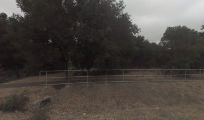 Puppy Love Mobile Pet Spa