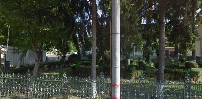 Opinii despre FATII - ARTRI NEAMȚ în <nil> - Școala de șoferi