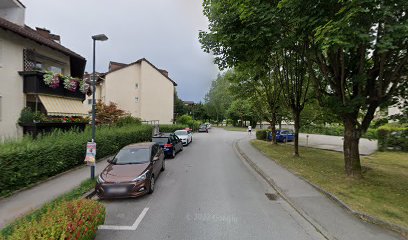 Salzburger Faschingsgilde
