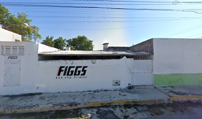 FIGGS BOX AND FITNESS