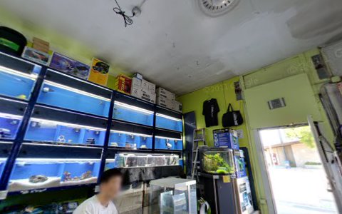 Tropical Fish Store «Albany Aquarium», reviews and photos, 818 San Pablo Ave, Albany, CA 94706, USA