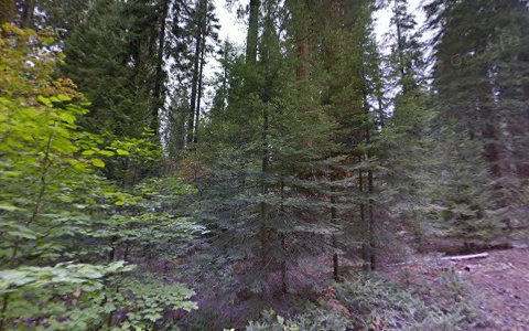 National Park «Sequoia National Park», reviews and photos