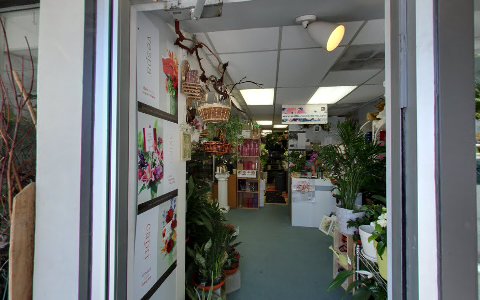 Florist «University Village Florist», reviews and photos, 5401 25th Ave NE, Seattle, WA 98105, USA