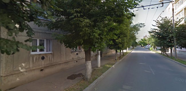 Strada Brândușa G3/2, Satu Mare 440164, România