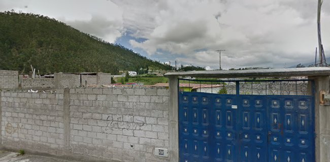 Opiniones de DOMICILIOS FLORES en Otavalo - Floristería