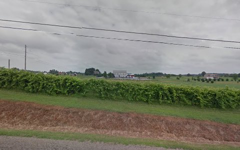 Winery «The Winery at Perennial Vineyards», reviews and photos, 11877 Poorman St SW, Navarre, OH 44662, USA