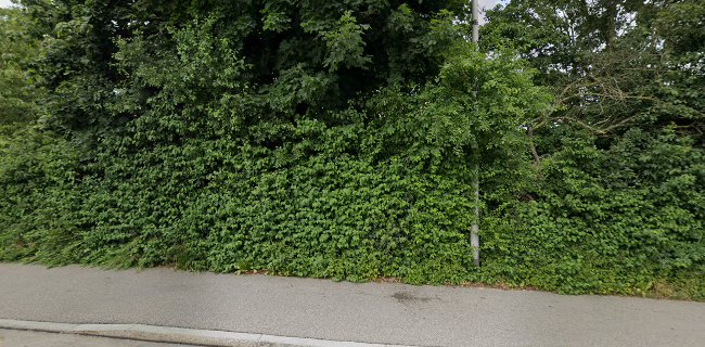 Bahnweg 7, 4614 Hägendorf, Schweiz