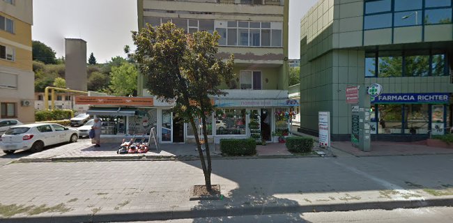 Strada Isaccei 31, Tulcea 820166, România