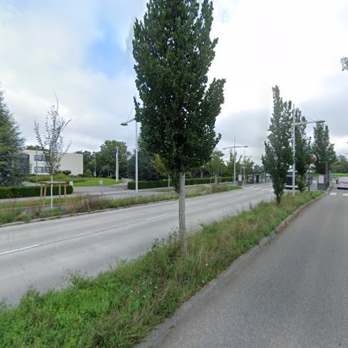 Kajuci à Schiltigheim