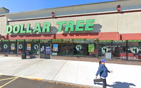 Dollar Store «Dollar Tree», reviews and photos, 77 W Rand Rd, Arlington Heights, IL 60004, USA