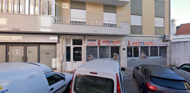 Vetmonti - Clínica Veterinária - Veterinário