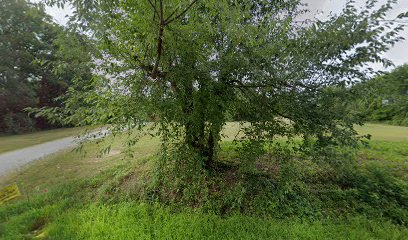 Bath & Bows Pet Grooming