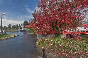 Franciscan Medical Clinic - Spanaway image