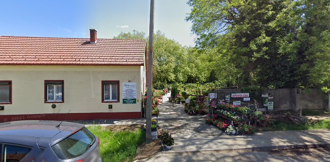 Értékelések erről a helyről: Hélia Kertészet - Kaposvár, Kaposvár - Kertészkedő