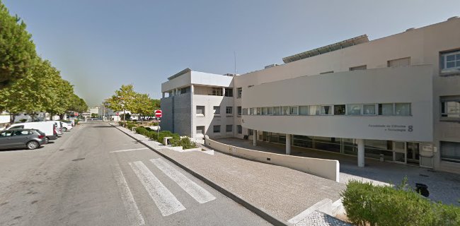 Universidade do Algarve - Campus de Gambelas Edifício 8, 8005-139 Faro