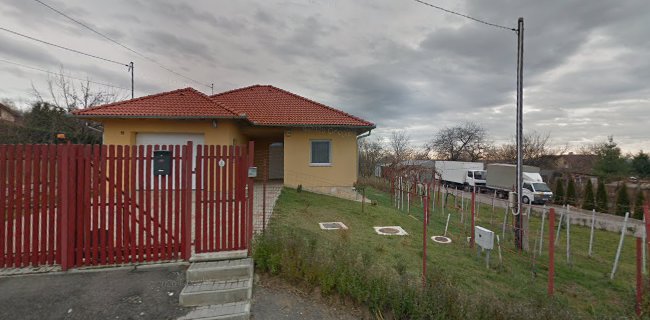 Kenguru Tehertaxi Pécs Költöztetés bútorszállítás - Pécs