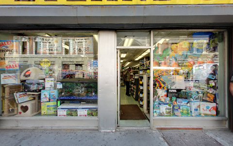 Pet Store «Petland Discounts - Willoughby», reviews and photos, 72 Willoughby St, Brooklyn, NY 11201, USA
