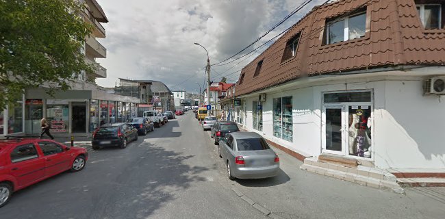 Strada Mihail Kogălniceanu Nr.12, Câmpina 105600, România