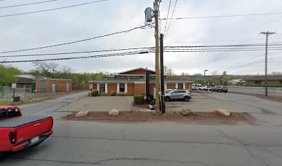Catalanello Chiropractic - Pet Food Store in Plains Township Pennsylvania