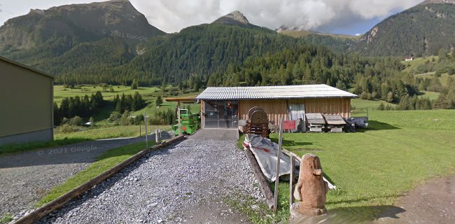 Rezensionen über Mountain Tour Bergün GmbH in Davos - Taxiunternehmen