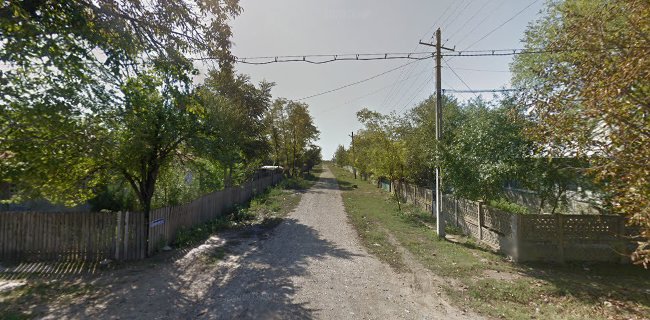 Strada Principală 65, Dragoș Vodă 917085, România